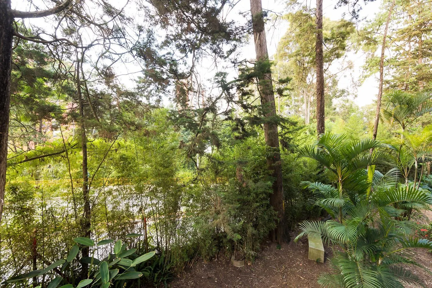 Foresta Hotel Medellín Colombie